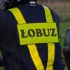 Łobuz